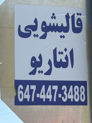 Professional Carpet Cleaning Services in North York, Toronto