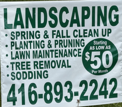 Professional Landscaping Services Starting at $50/Month in North York, Ontario 🌳✨